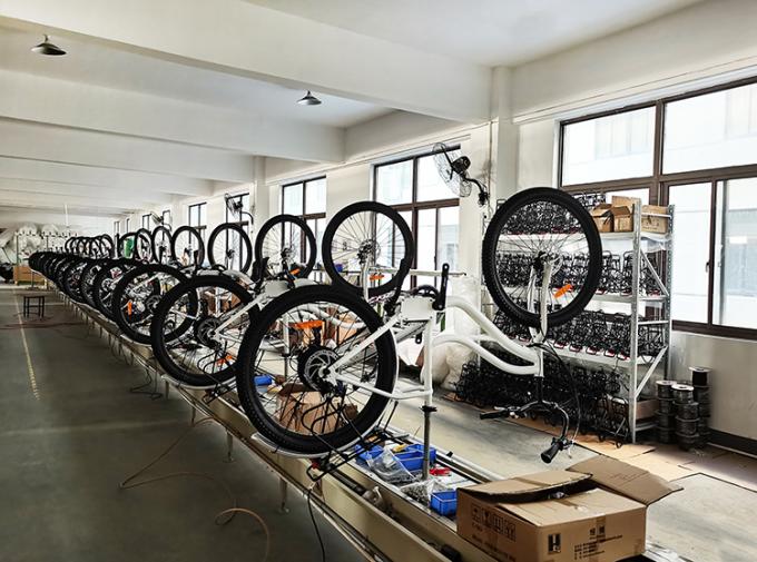 12 โวลต์ 13 แกน 19.5 Dc E Bike Motor Fat Tyre อุปกรณ์เสริมจักรยานไฟฟ้า Ebikes 9