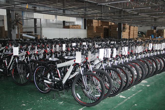 12 โวลต์ 13 แกน 19.5 Dc E Bike Motor Fat Tyre อุปกรณ์เสริมจักรยานไฟฟ้า Ebikes 11
