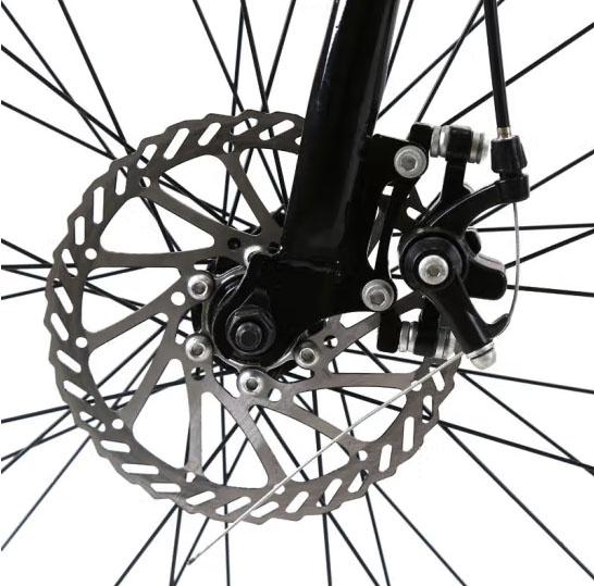250W 750w Electric City Bike 16.5AH แบตเตอรี่มอเตอร์คู่สำหรับผู้ใหญ่ 1