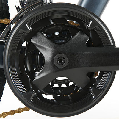 250W 750w Electric City Bike 16.5AH แบตเตอรี่มอเตอร์คู่สำหรับผู้ใหญ่