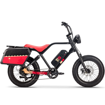 250W 750w Elektrische Fiets แบตเตอรี่จักรยาน 48v 20AH ยางไขมันสำหรับผู้ใหญ่